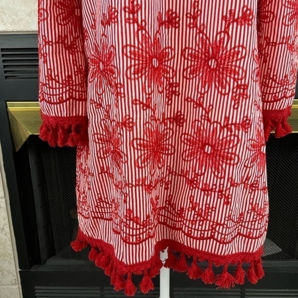 Velzera Pinstripe with Embroidery Tunic/Dress with Bell Sleeves and Tassels - Picture 3 of 15